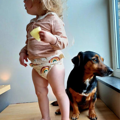 Potty Training Underwear