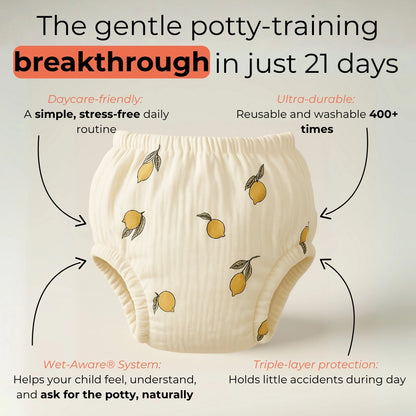 Potty Training Underwear