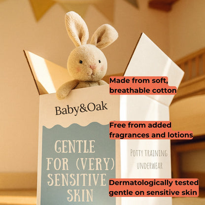 Potty Training Underwear