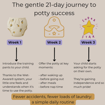 Potty Training Underwear